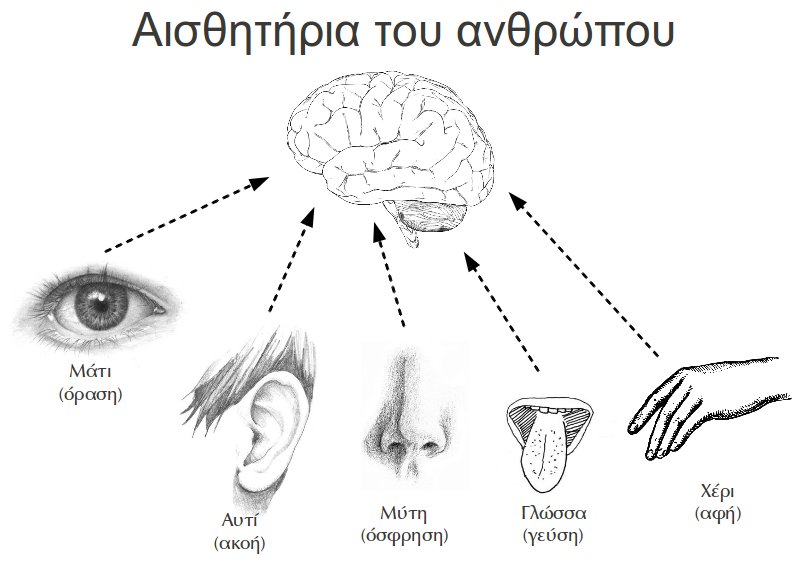 Εγκέφαλος και ερεθίσματα