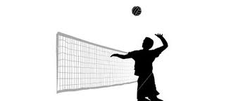 picture of volley